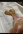 Шахерезада одна